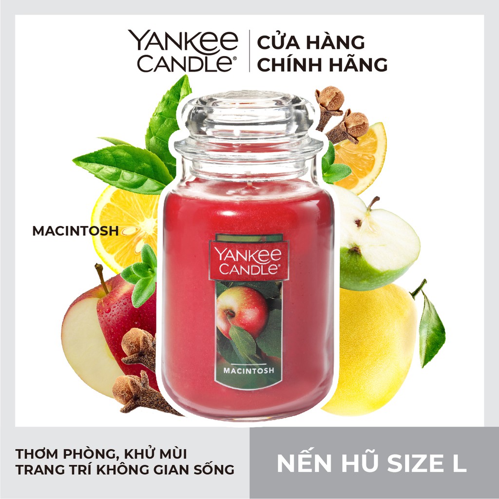 [Mã LIFEM1 giảm 50k đơn 99k] Nến hũ Yankee Candle size L - Macintosh