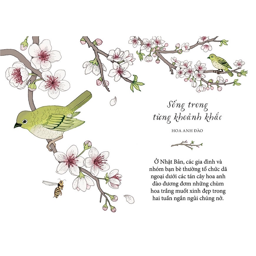 Sách - Sống như những cái cây