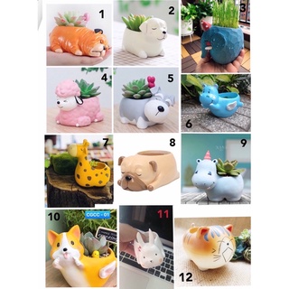 Chậu trồng cây hình thú