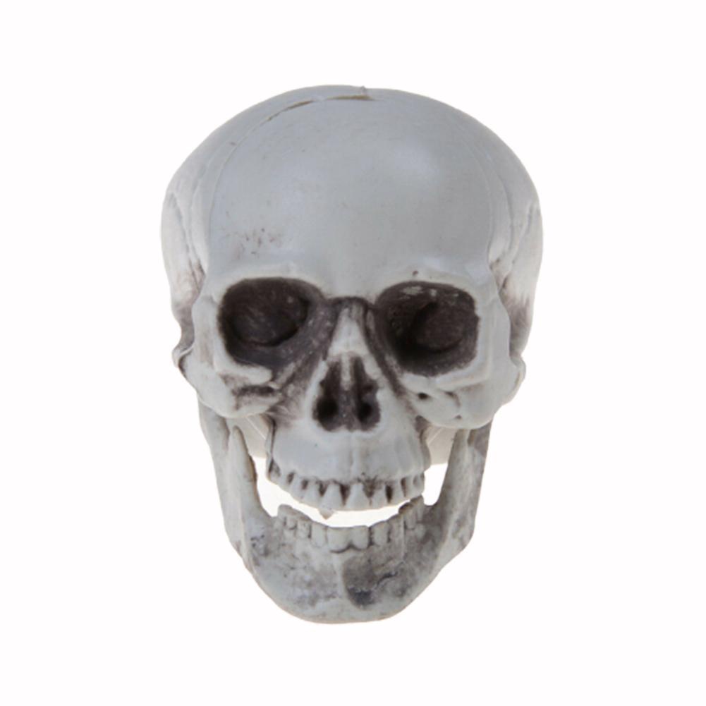 Mô hình đầu lâu mini bằng nhựa trang trí halloween