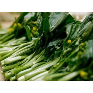 Hạt giống cải làn - cải ngồng - cải rổ