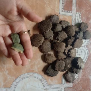 Hạt gấc rang giã 500g