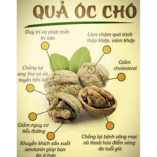 1kg Óc chó Hà Giang