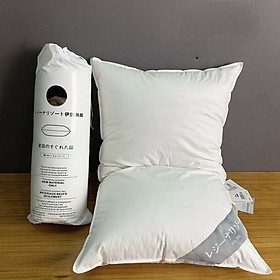 Ruột gối nhật bản bông nhân tạo kháng khuẩn cao cấp kèm túi đựng 50x70cm