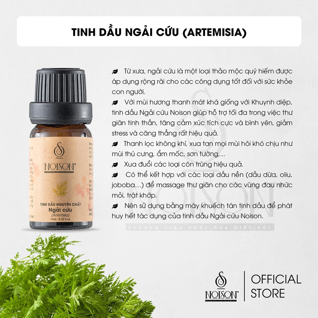 Tinh dầu Ngải Cứu Noison | Artemisia Essential Oil | Nhập khẩu Ấn Độ |