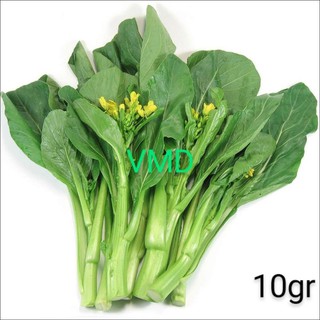 Hạt giống Cải Ngồng