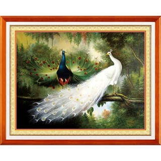 Tranh thêu vợ chồng công a448 87x67cm, chưa thêu