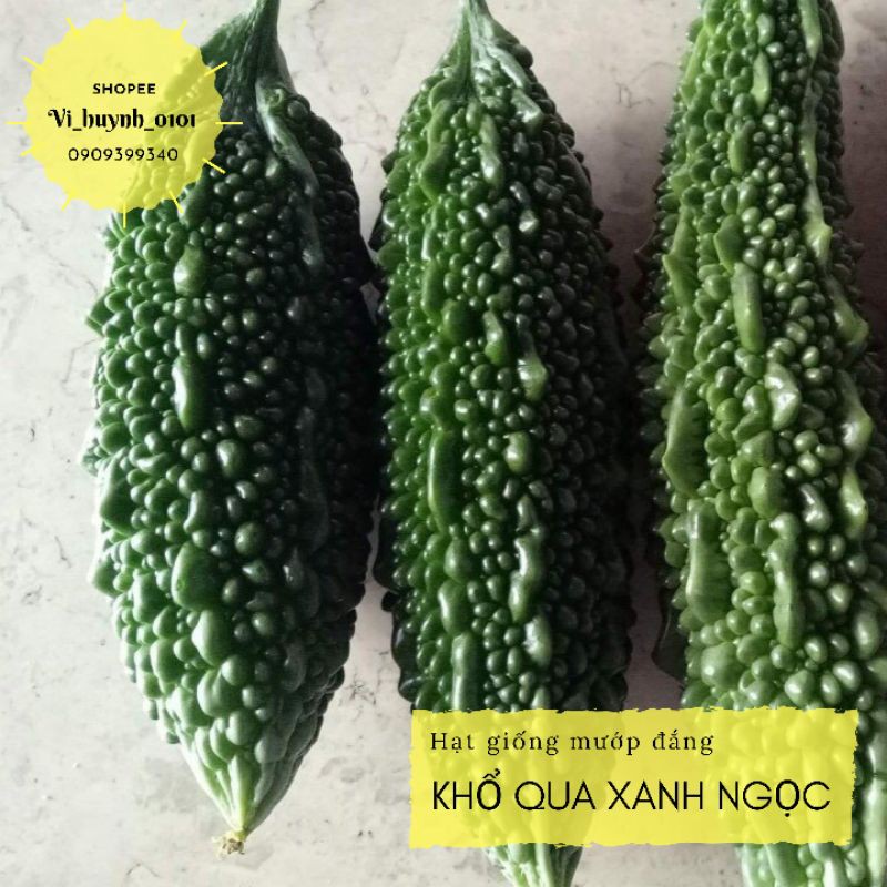Khổ qua mướp đắng Xanh Ngọc trái siêu to giòn ngon ít đắng