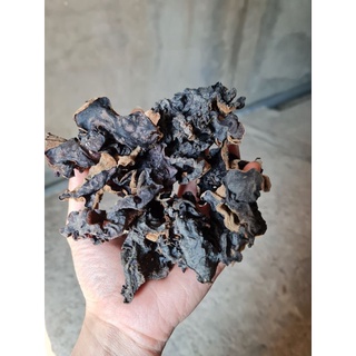 Mộc nhĩ rừng Cao Bằng