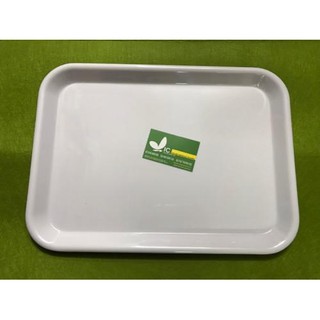 Khay phíp nhựa 27x37cm