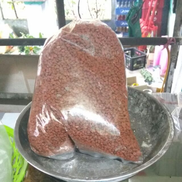 Hạt điều đỏ 1kg