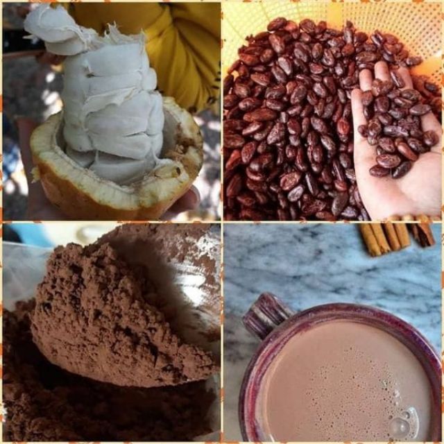 Hộp 500gr Bột Cacao Nguyên Chất Hộp Loại 1, Bột Ca Cao Hàng Chuẩn Daklak Cực Thơm Ngon Bổ Dưỡng BCC03 RENEVA