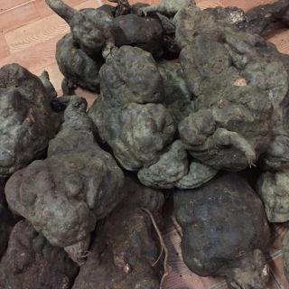 [HADMADE] Hà Thủ Ô Chế Đỗ Đen Nguyên Miếng
