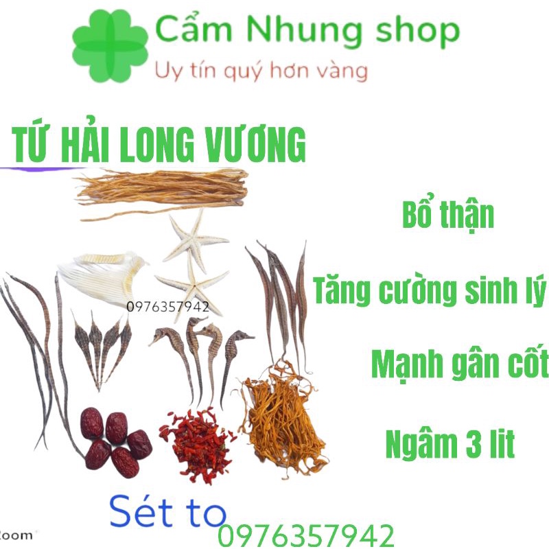 Combo ngâm rịu TỨ HẢI LONG VƯƠNG : cá ngua, sao bien, hai xà, hai yến, đẳng sâm, TẶNG TÁO ĐỎ, KỈ TỬ