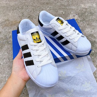 Giầy superstar mũi sò full hộp