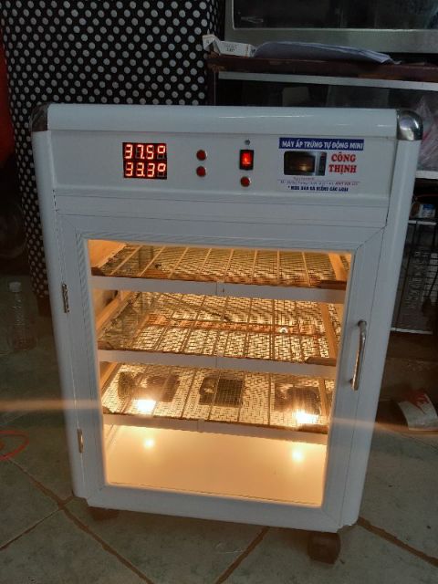 MÁY ẤP TRỨNG TỰ ĐỘNG MINI CÔNG THỊNH