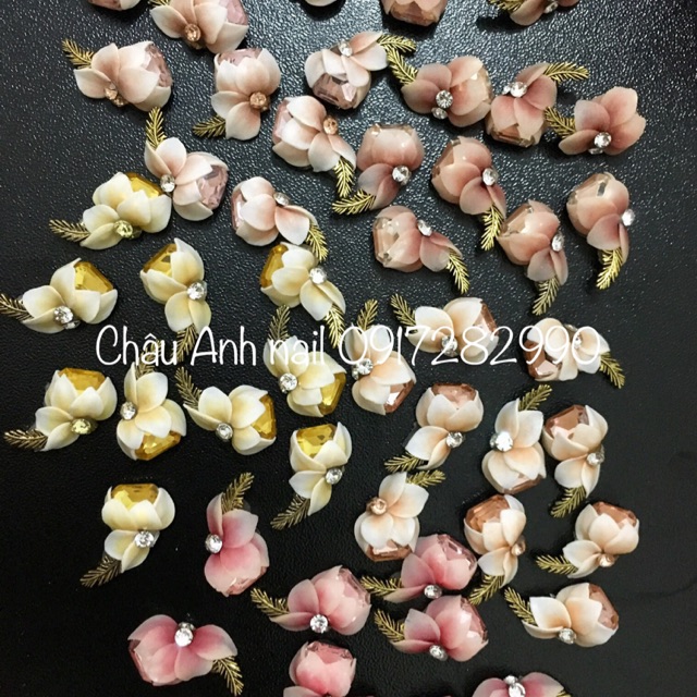 Set 38b hoa bột