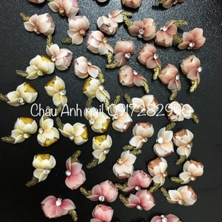 Set 38b hoa bột
