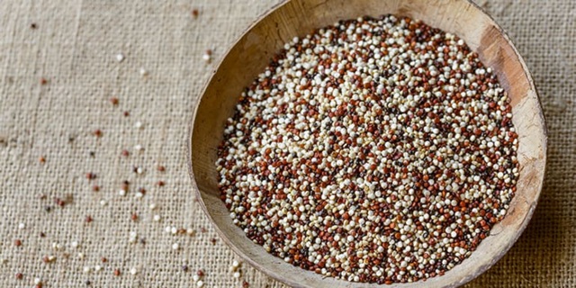 0,5 kg Diêm Mạch Quinoa hữu cơ 3 màu Usda Green Nature // Bio Planet 500g