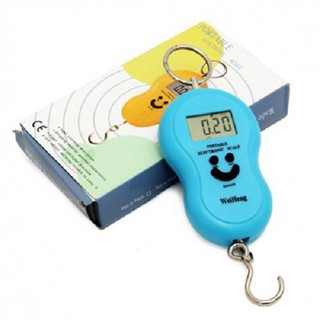Cân treo điện tử mini cầm tay