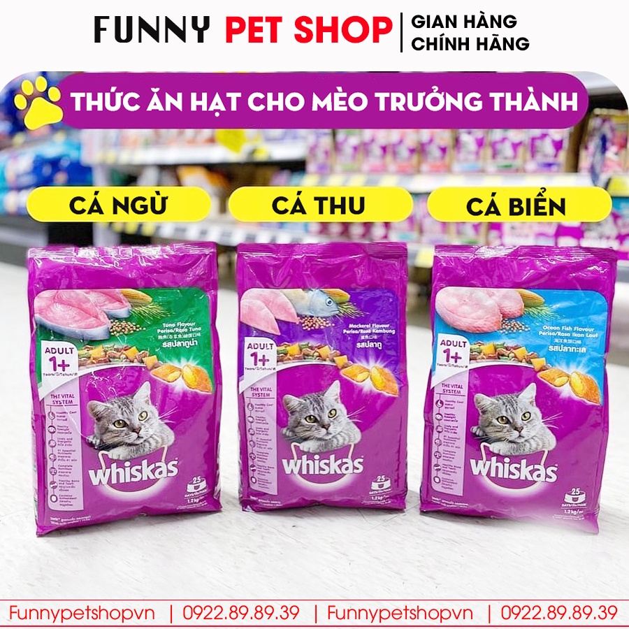 Thức ăn cho mèo Whiskas, đồ ăn cho mèo con vị cá biển và sữa Whiskas Junior - Funny Pet Shop