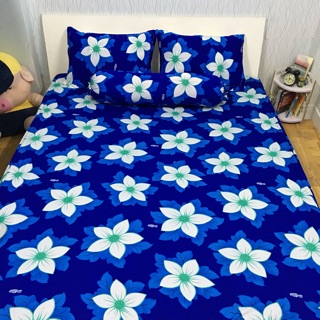 Drap thun Hàn Quốc