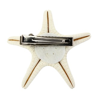 💯🔥Phụ Nữ Cô Gái Xinh Đẹp Sao Biển Tự Nhiên Ngôi Sao Kẹp Tóc Dễ Thương