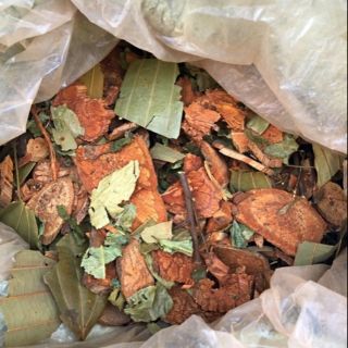 2kg lá tắm sau sinh của người dao đỏ