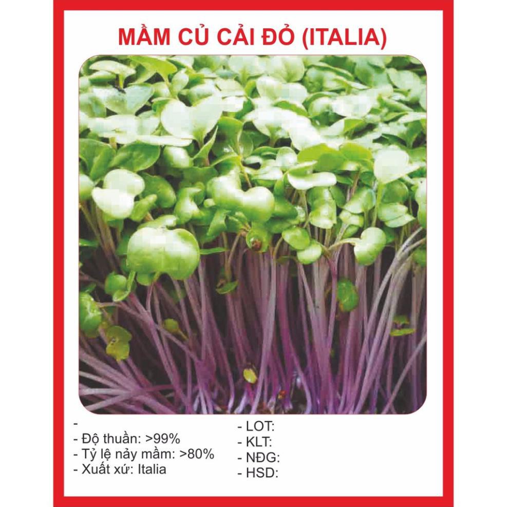 Hạt Giống Mầm Củ Cải Đỏ