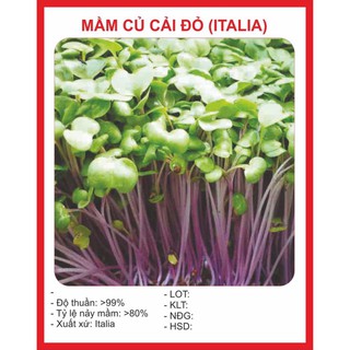 Hạt giống mầm củ cải đỏ