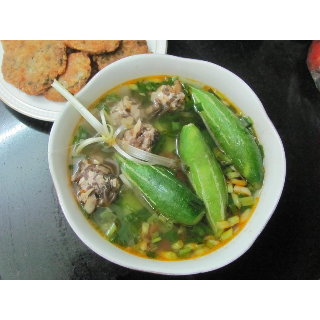 [GIÁ GỐC] Hạt giống quả mướp Lặc Lày Mướp Nhật Ngắn - 2 gram