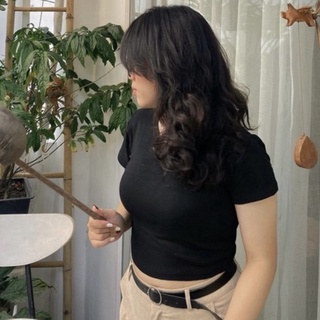 (BIGSIZE) ÁO CROPTOP BASIC SIÊU CO DÃN