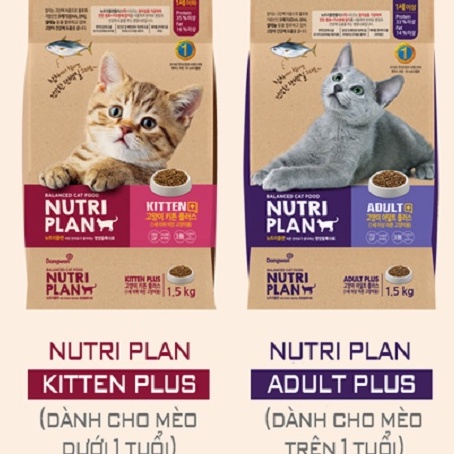 Thức ăn hạt dành cho mèo Nutriplan 1.5kg