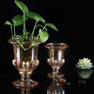 Lọ thủy tinh đựng phật thủ vàng