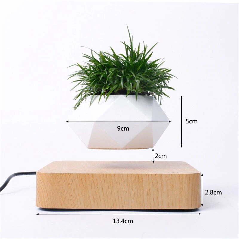 Libishop - Chậu cây bay trang trí từ tính BonSai Bay Zero W Design