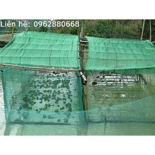 Tráng vèo lưới, nuôi cua, cá, ốc, ếch lươn 1990
