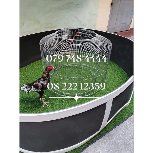 Sới vần gà dài 7m ,đường kinh 2m2 ,dầy 2cm cả đai.