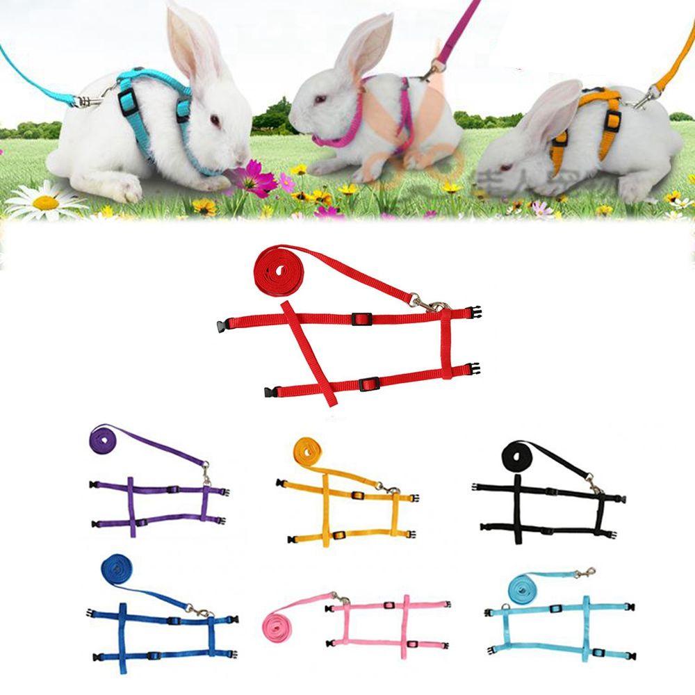 1 Dây Dắt Thỏ Đi Dạo Mềm Mại