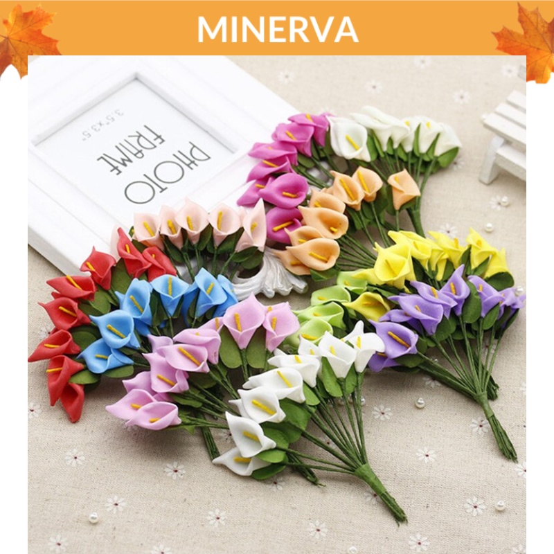 Set 10 hoa thuỷ vu hoa loa kèn lily trang trí , làm đồ thủ công , thiệp handmade, hộp quà tặng