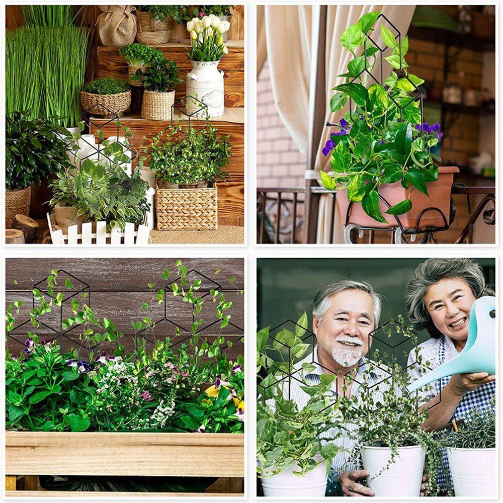 Giá Đỡ Cây Dây Leo Dùng Trang Trí Sân Vườn