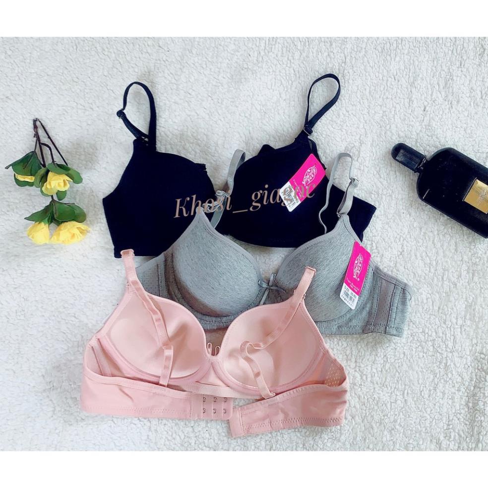 Áo Lót Ngực Cotton Đệm Mỏng Có Gọng Nâng Ngực 613 - LADY