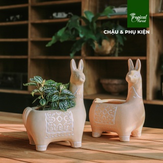 Chậu gốm trồng cây hình nai vàng cách điệu tropical forest