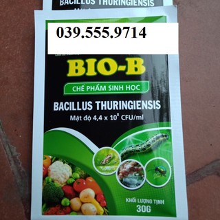 Chế phẩm trừ sâu sinh học BIO B