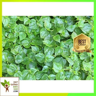 Hạt giống rau càng cua 0.5gr