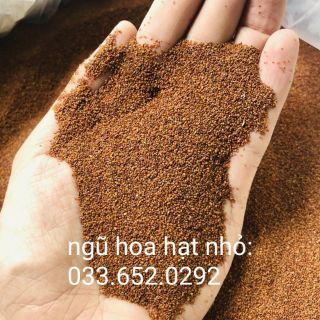 100gr Hạt ngũ hoa