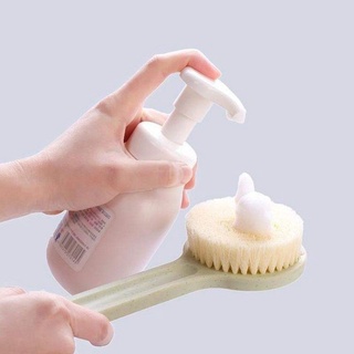 Cọ Kỳ Lưng Muji