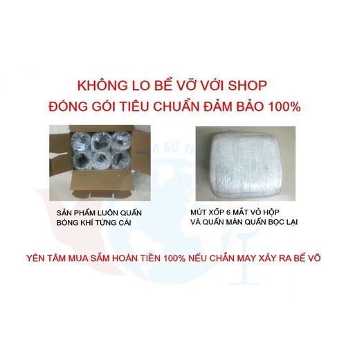 LỌ HOA THỦY TINH MÀU 25CM SIÊU ĐẸP GIAO NGẪU NHIÊN MÀU