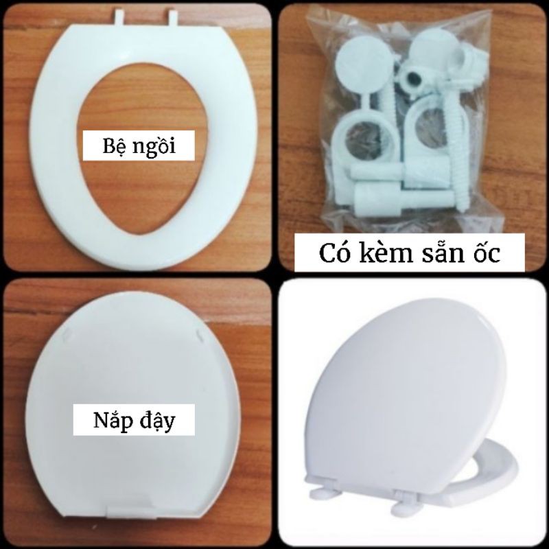 Nắp Bồn Cầu Nhựa GATABATHS màu trắng, màu xanh biển, màu xanh ngọc (loại thông dụng)