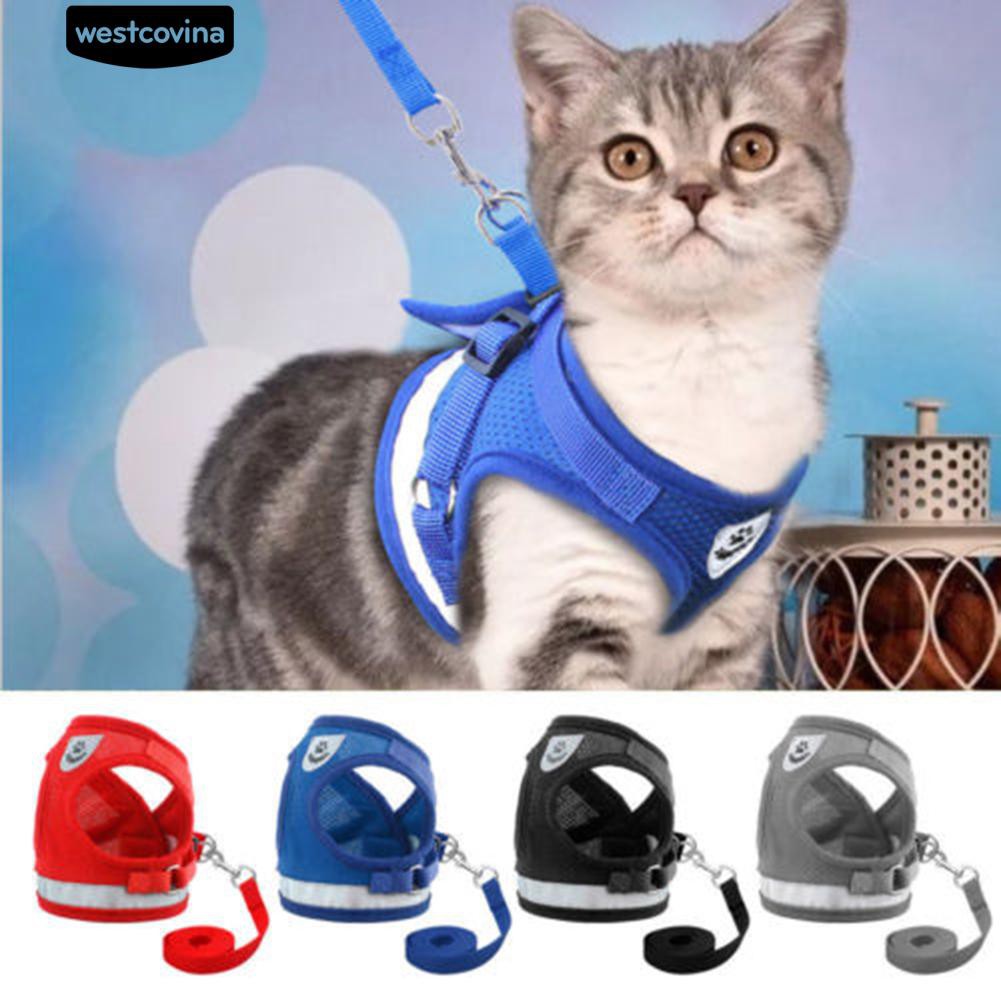 Dây Dắt Thú Cưng Đi Dạo Có Thể Điều Chỉnh Được