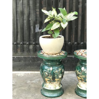 ĐÔN HOA SEN GỐM SỨ NAM BỘ